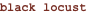 shapeimage_5_link_4